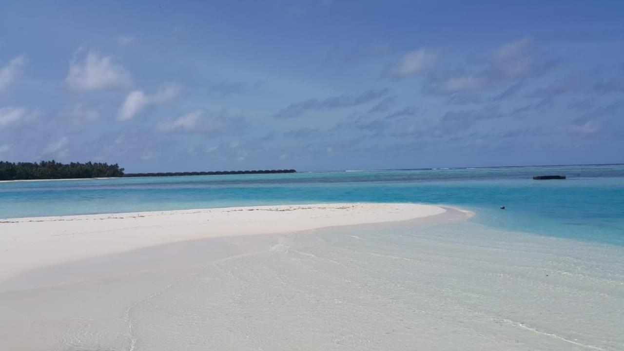 Portia & Otel 3*