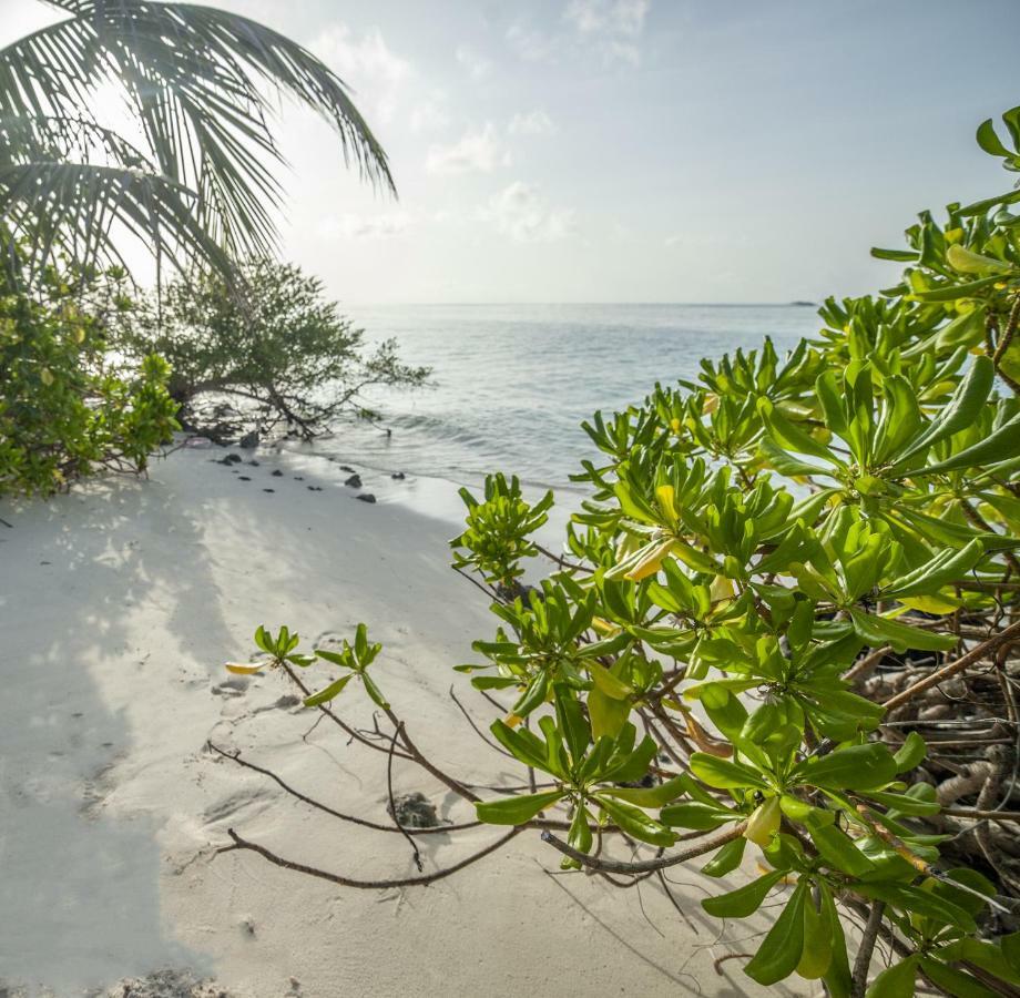 Portia & 3* Dhiffushi
